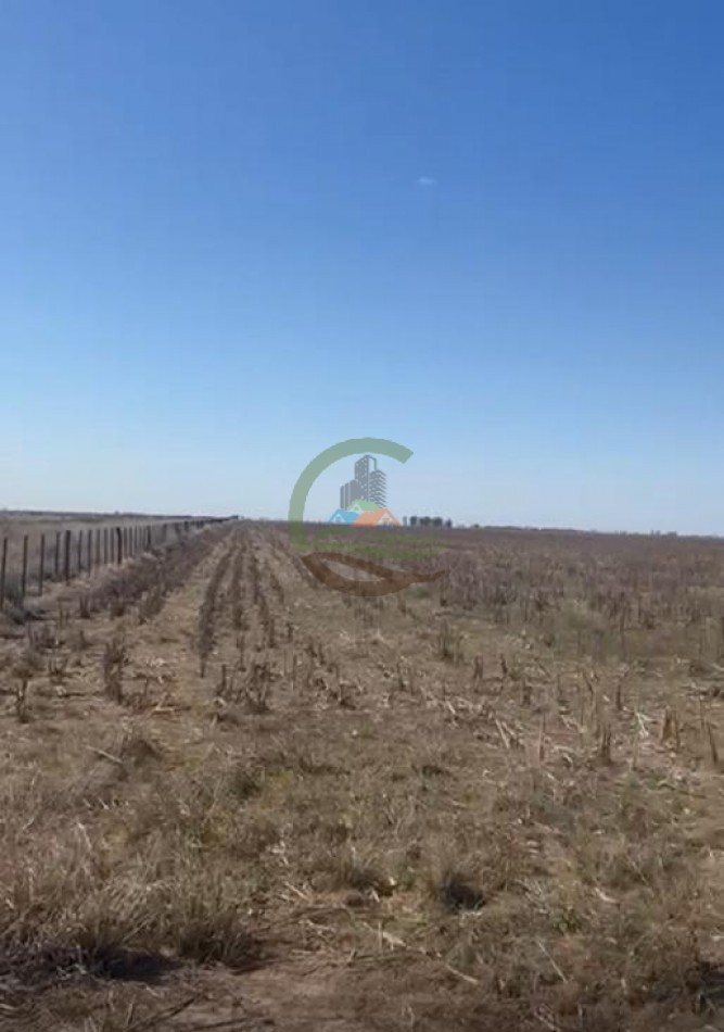 200 Ha agricolas - Saira - Marcos Juarez - Cordoba
