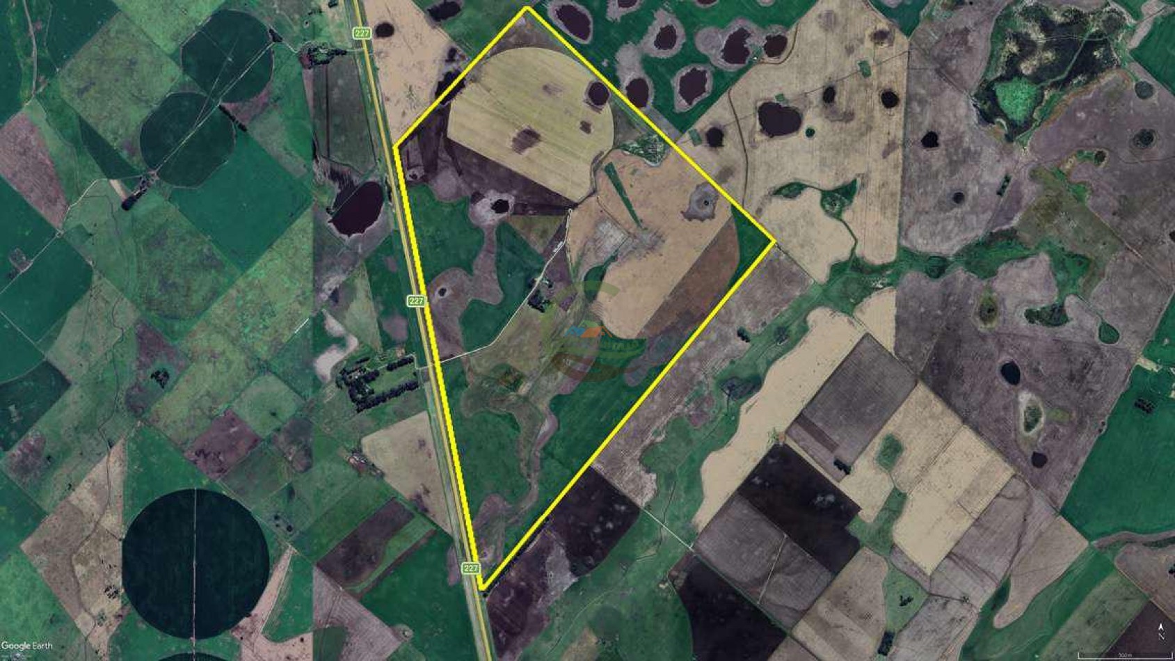 2057 Ha Mixto - Loberia