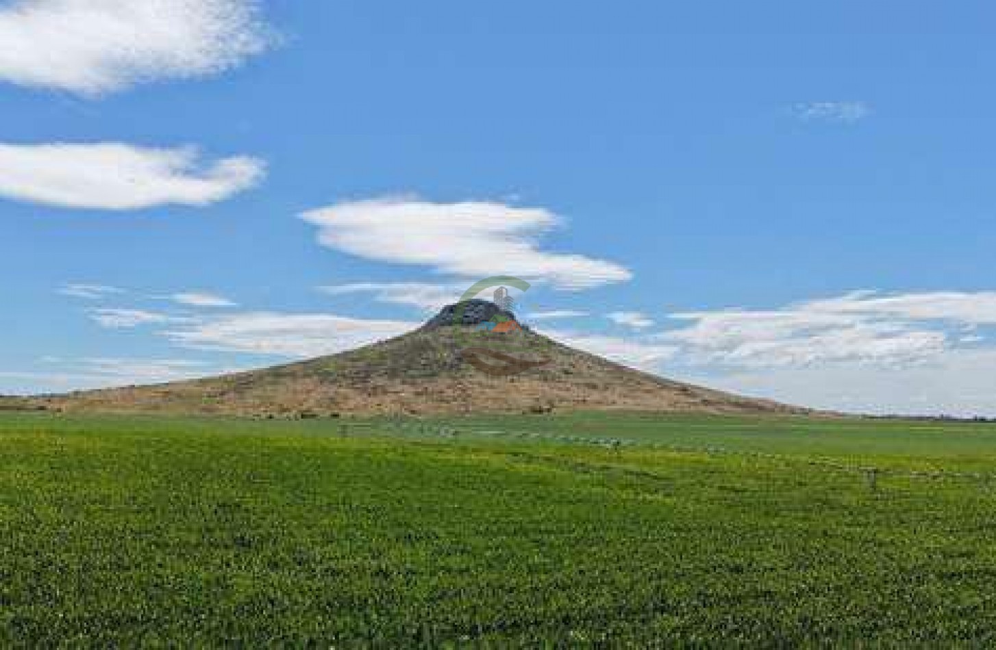 2057 Ha Mixto - Loberia