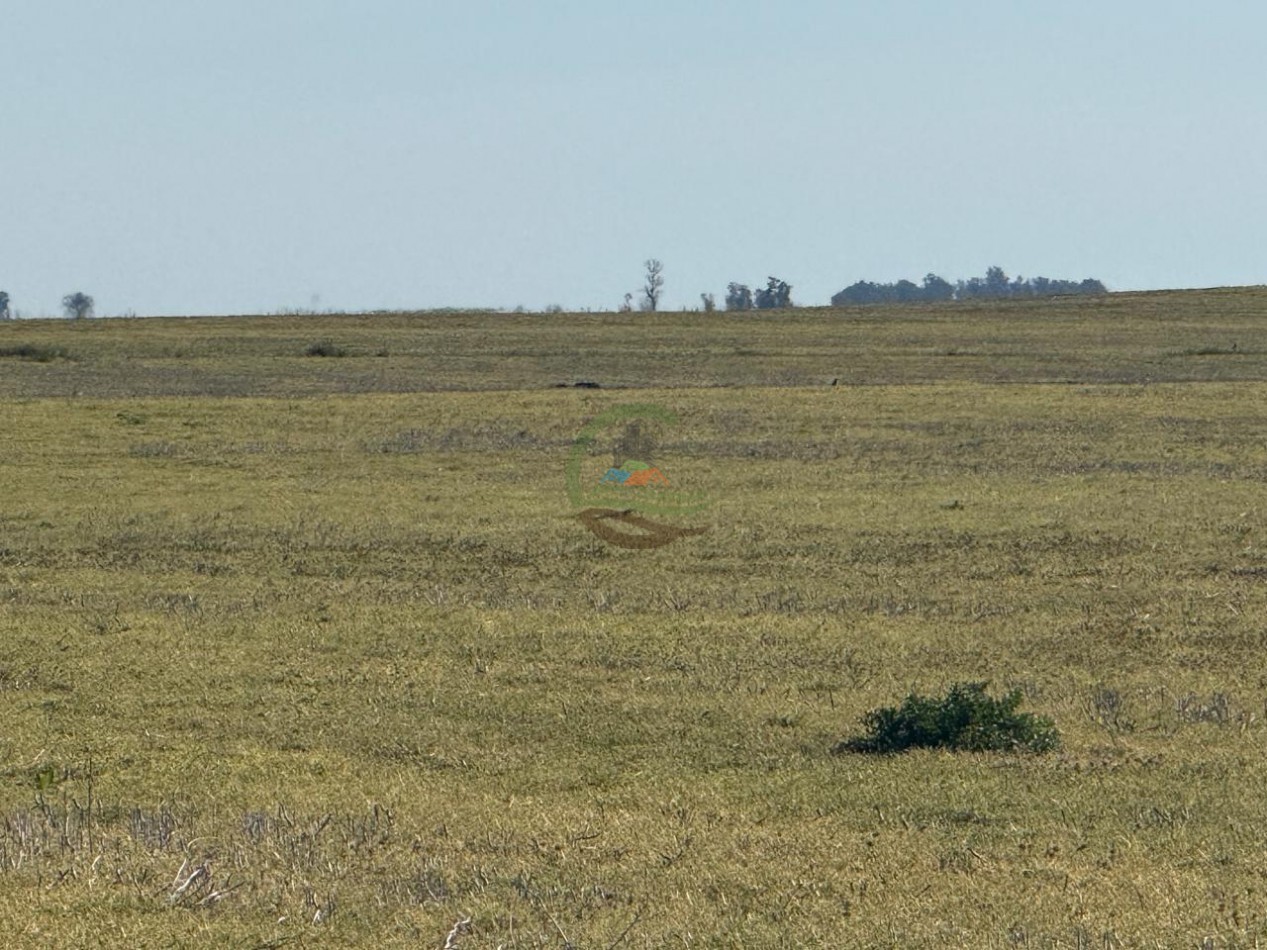 36 Ha Agricolas - Henderson