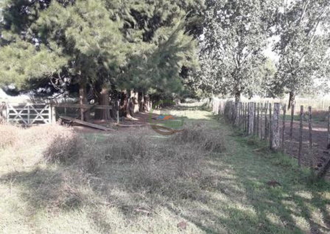 132 Ha Mixto - Magdalena