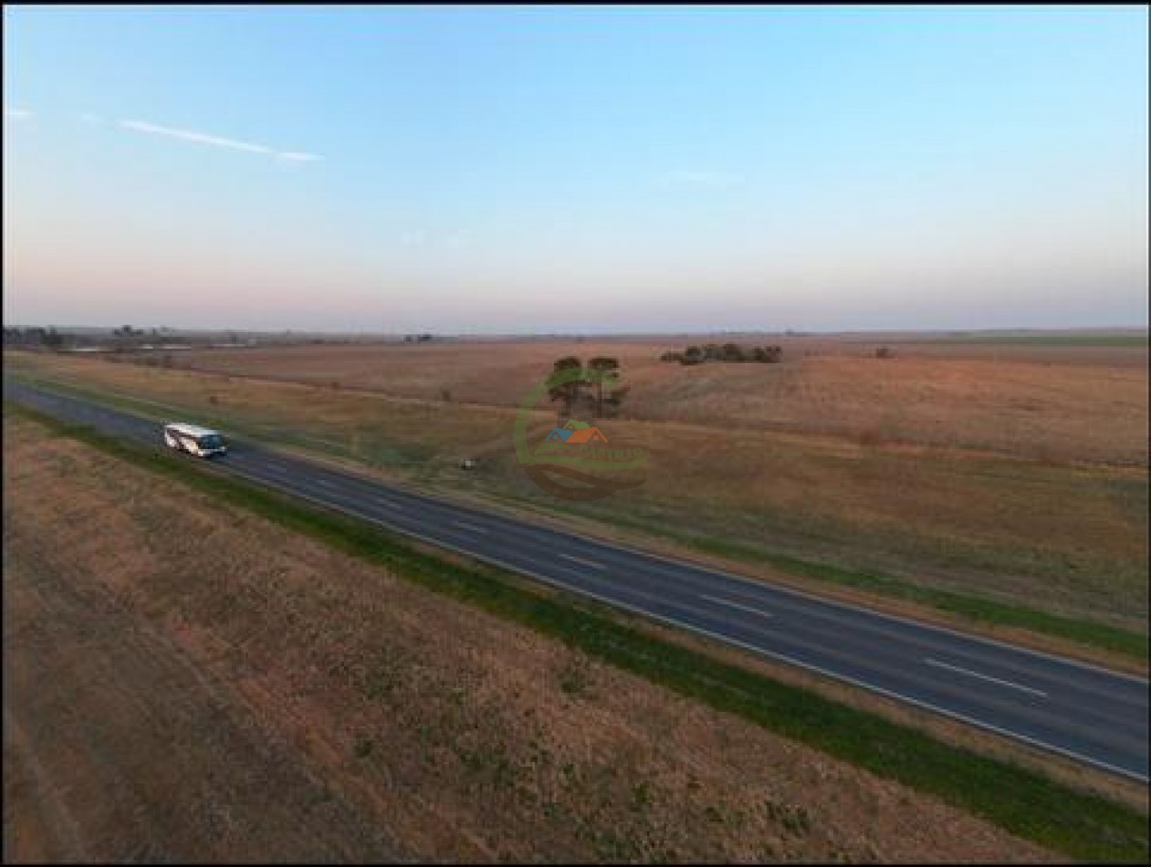 1537 Ha Agricolas - San Fabian - Santa Fe