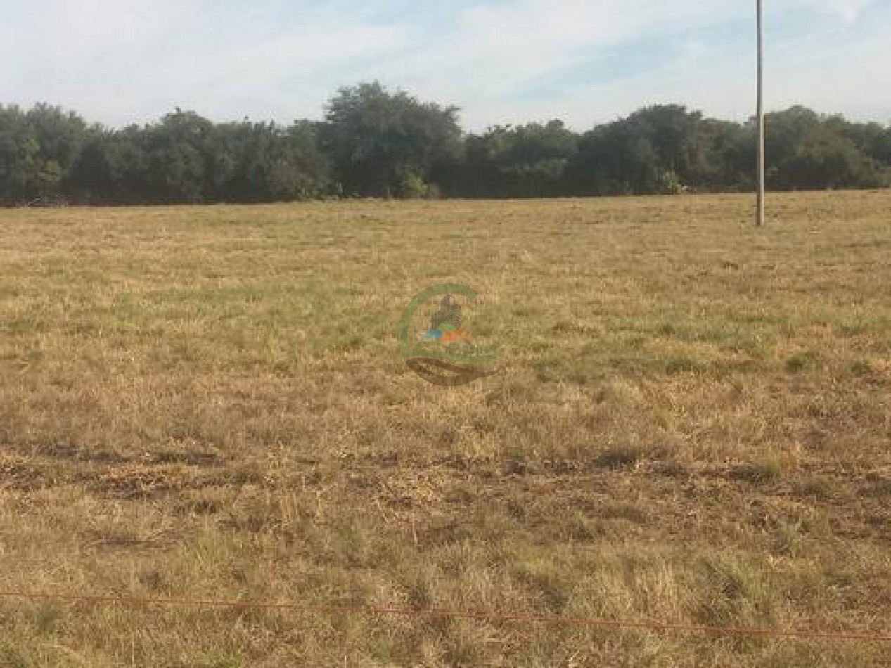 2340 Ha Mixto - La Paz - Entre Rios