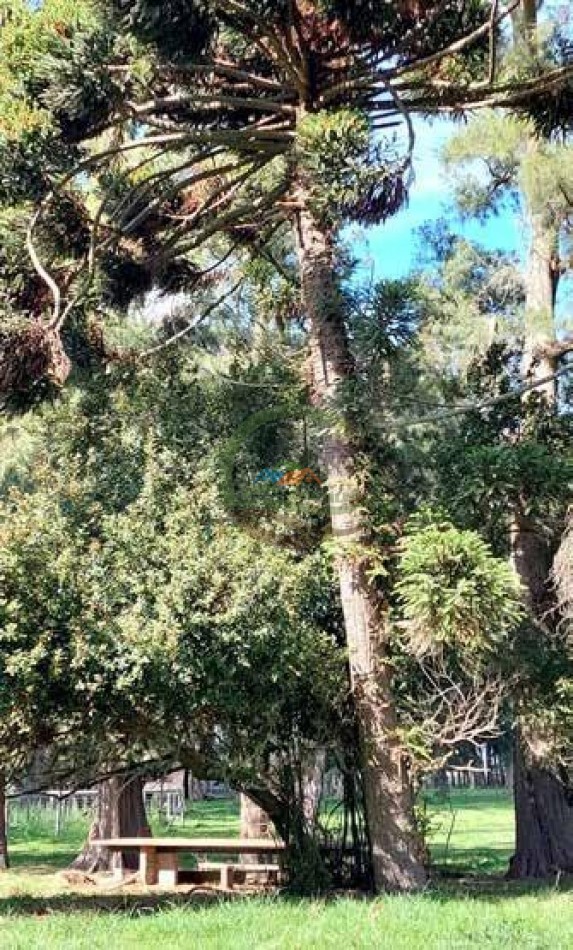 205 Ha Mixto -- Harosteguy - Las Flores