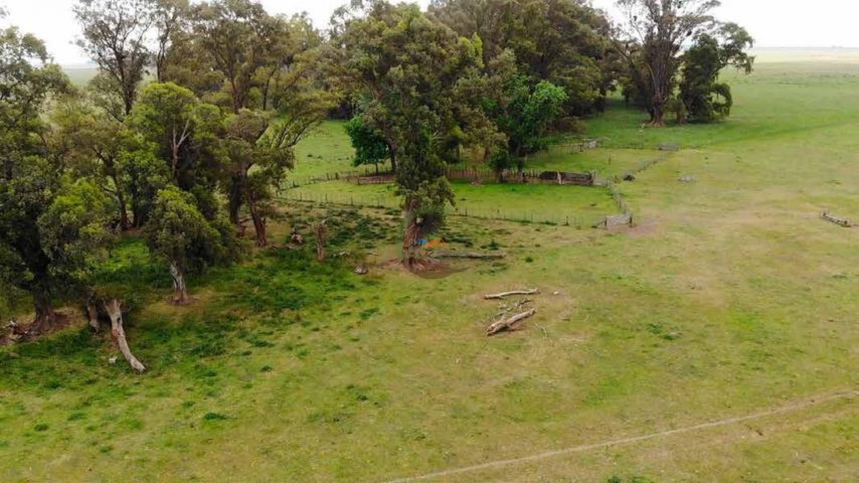 265 Ha Ganadero - Harosteguy - Las Flores