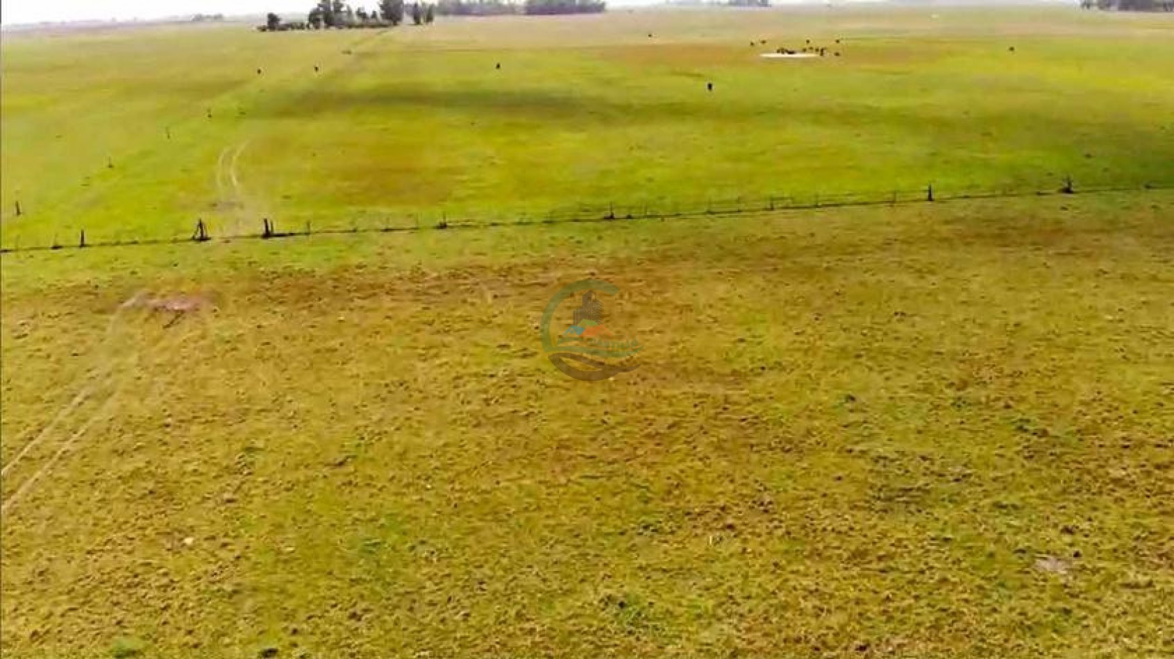 205 Ha Mixto -- Harosteguy - Las Flores