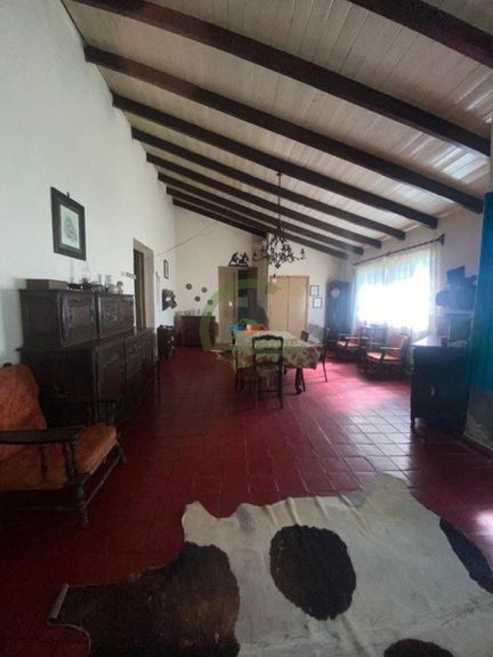 907 Ha Ganadero - Espigas - Olavarria