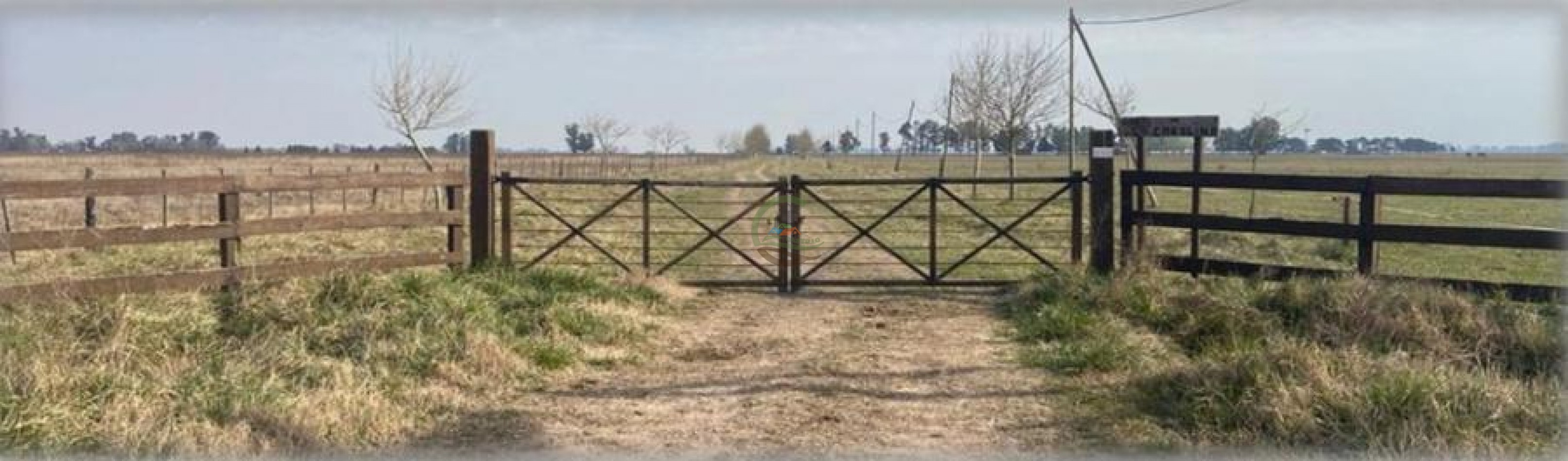 110 Ha Mixto - Abbott - San Miguel del Monte