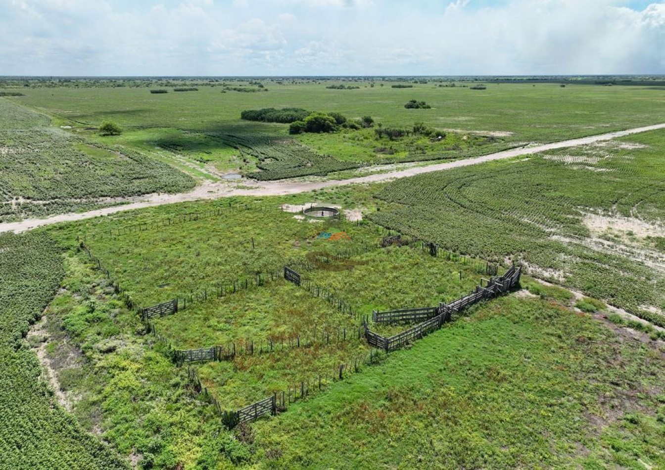 927 Ha Agricolas - Villa Minetti - Santa Fe 