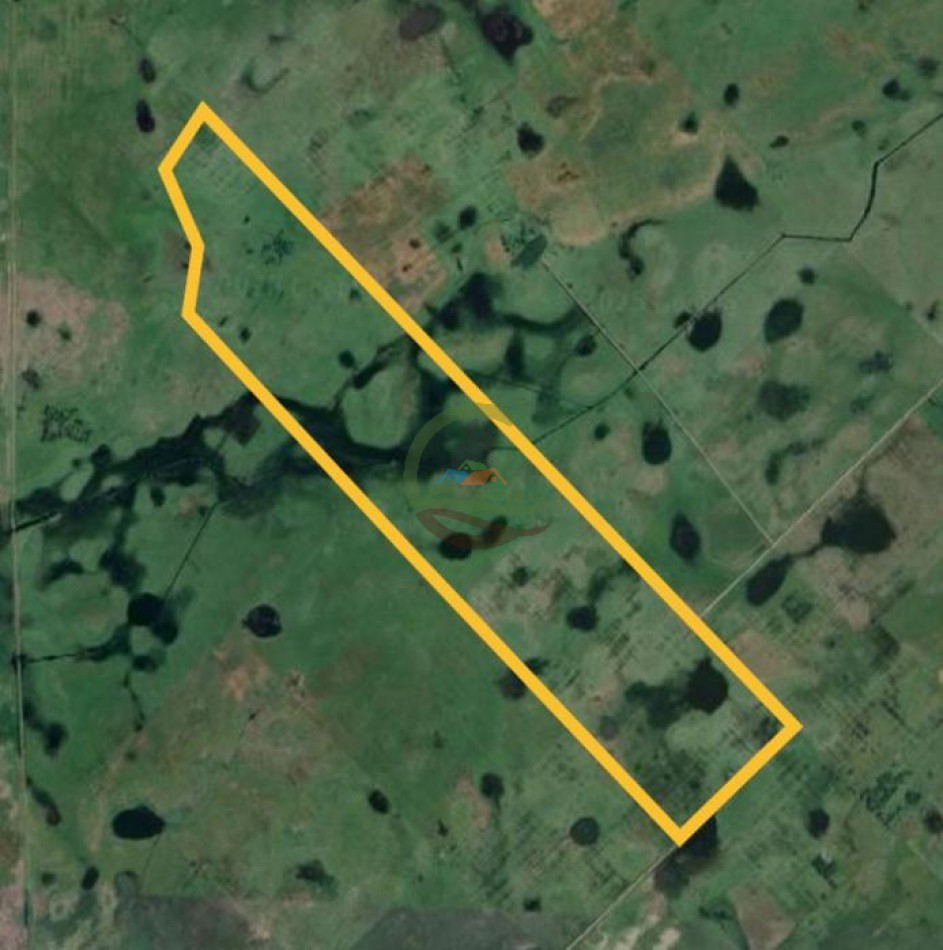 227 Ha Mixto - Rauch