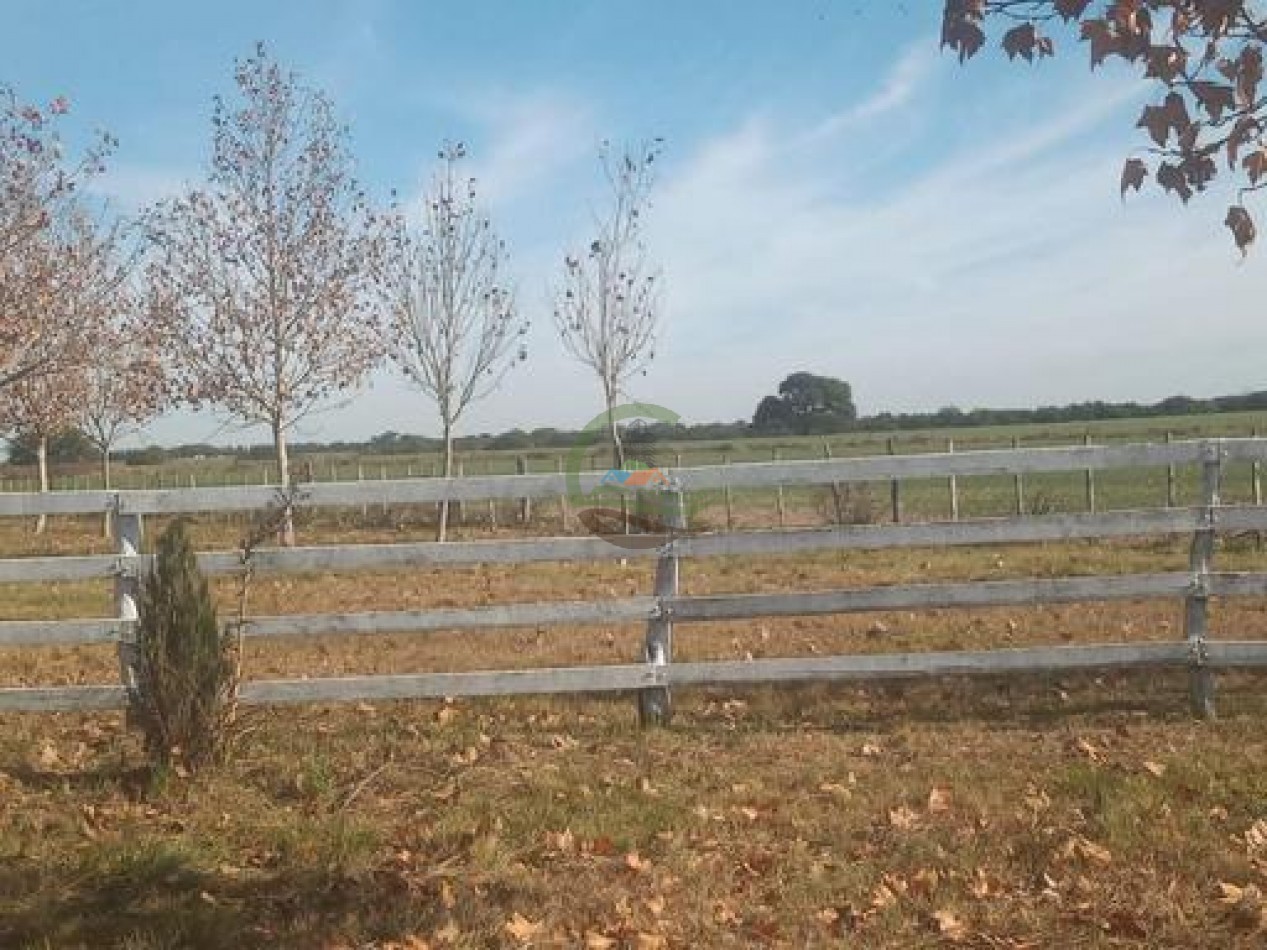 2340 Ha Mixto - La Paz - Entre Rios