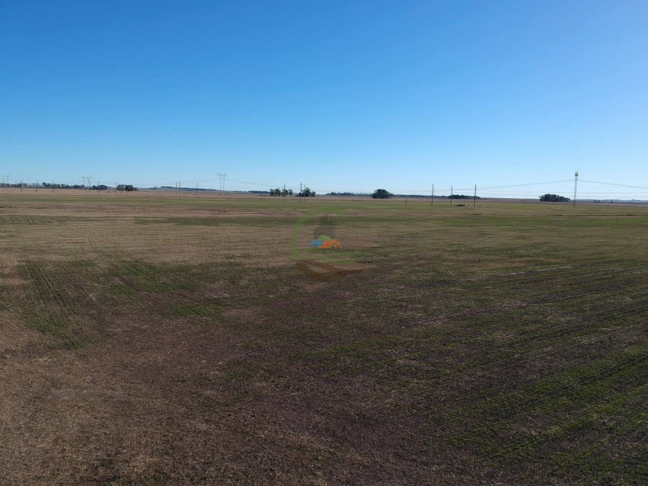 47 ha mixto - Olavarria