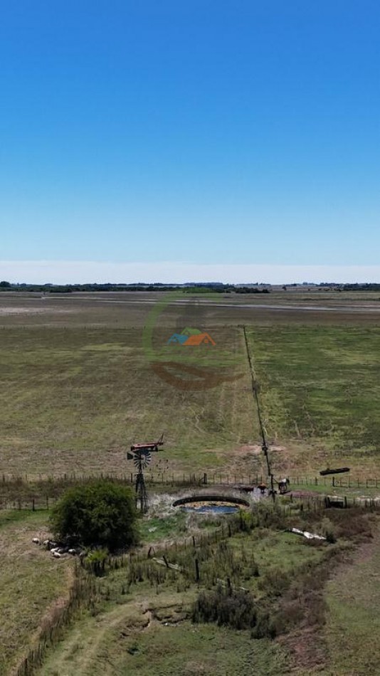 469 Ha Mixto - Chascomus