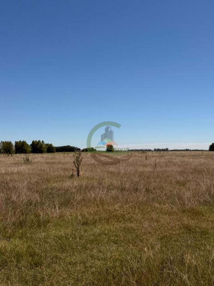 469 Ha Mixto - Chascomus