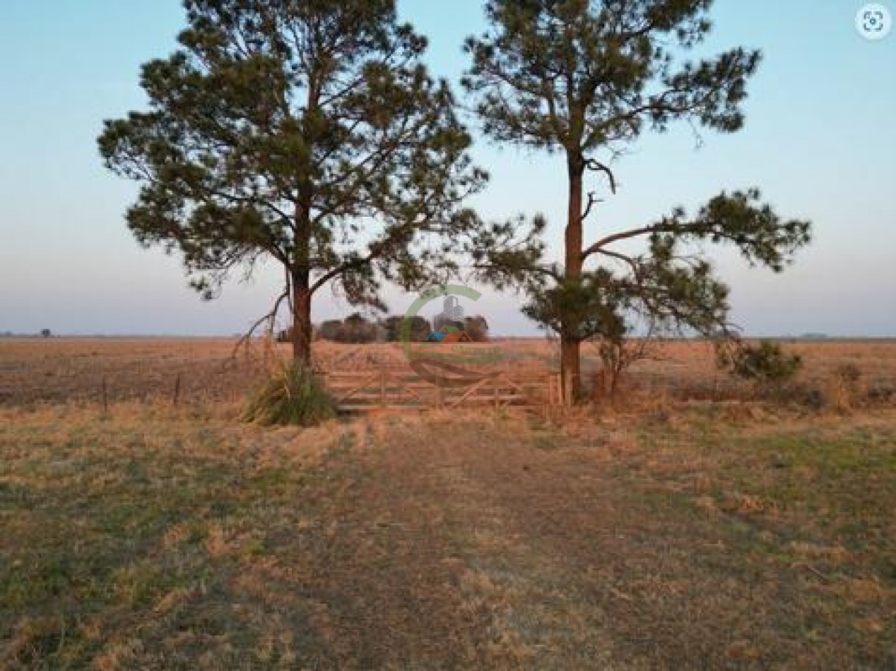 1537 Ha Agricolas - San Fabian - Santa Fe