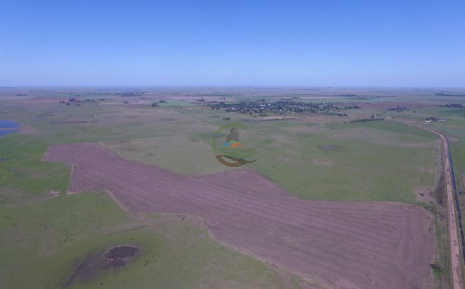 467 Ha Ganadero - Timote - Carlos Tejedor