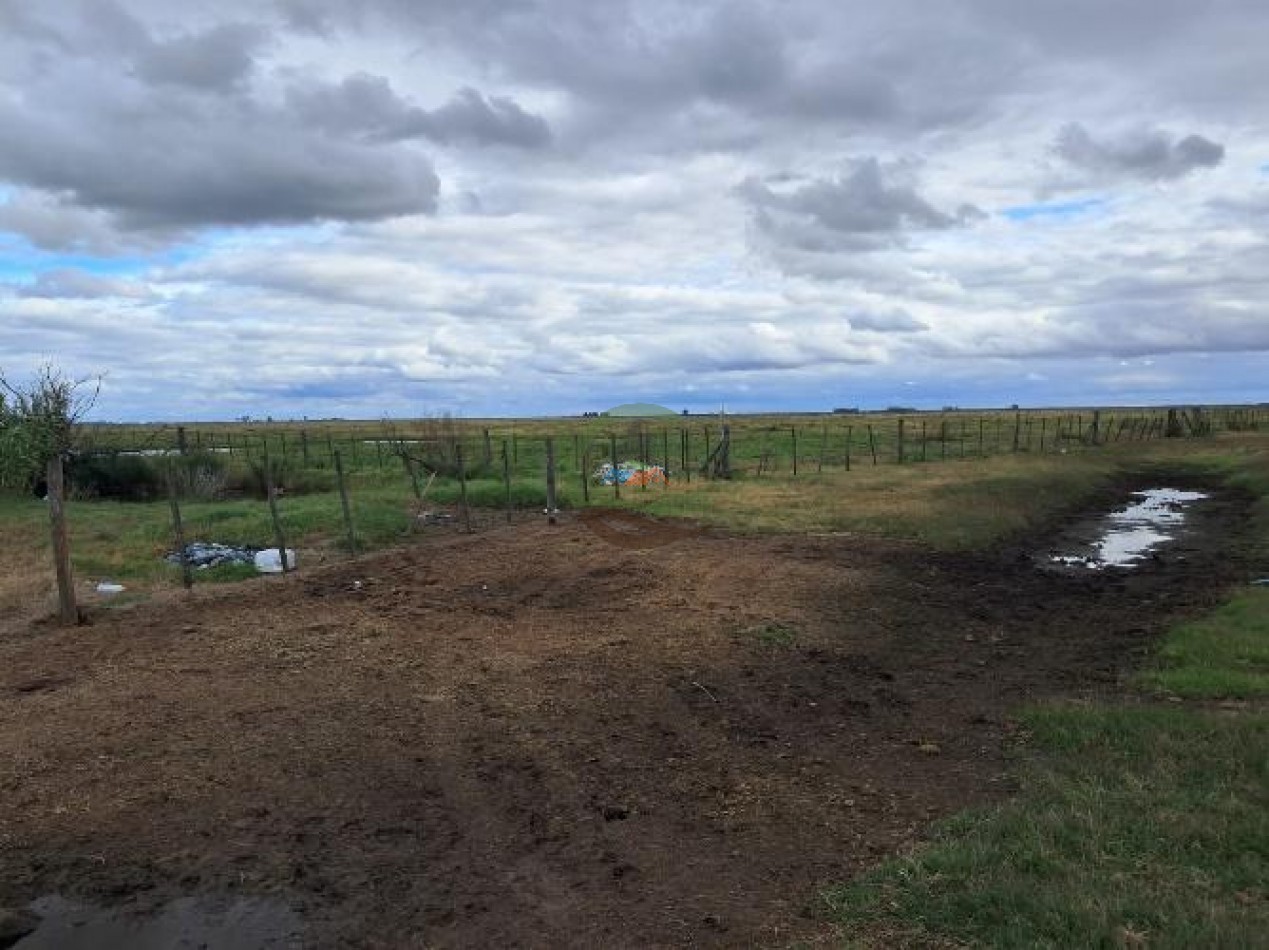 441 Ha Mixto - General Villegas