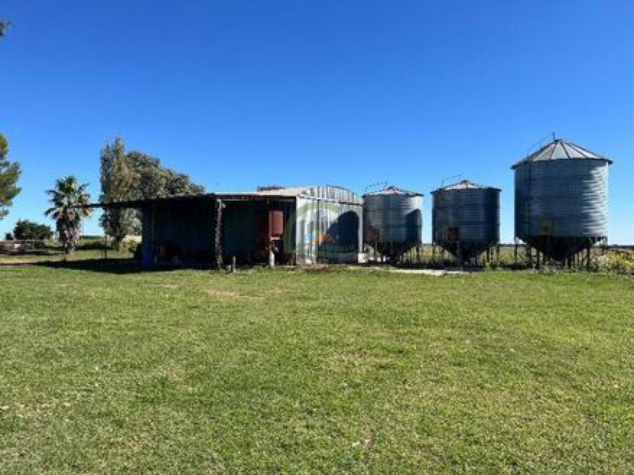 521 Ha Mixto - Toay - La Pampa
