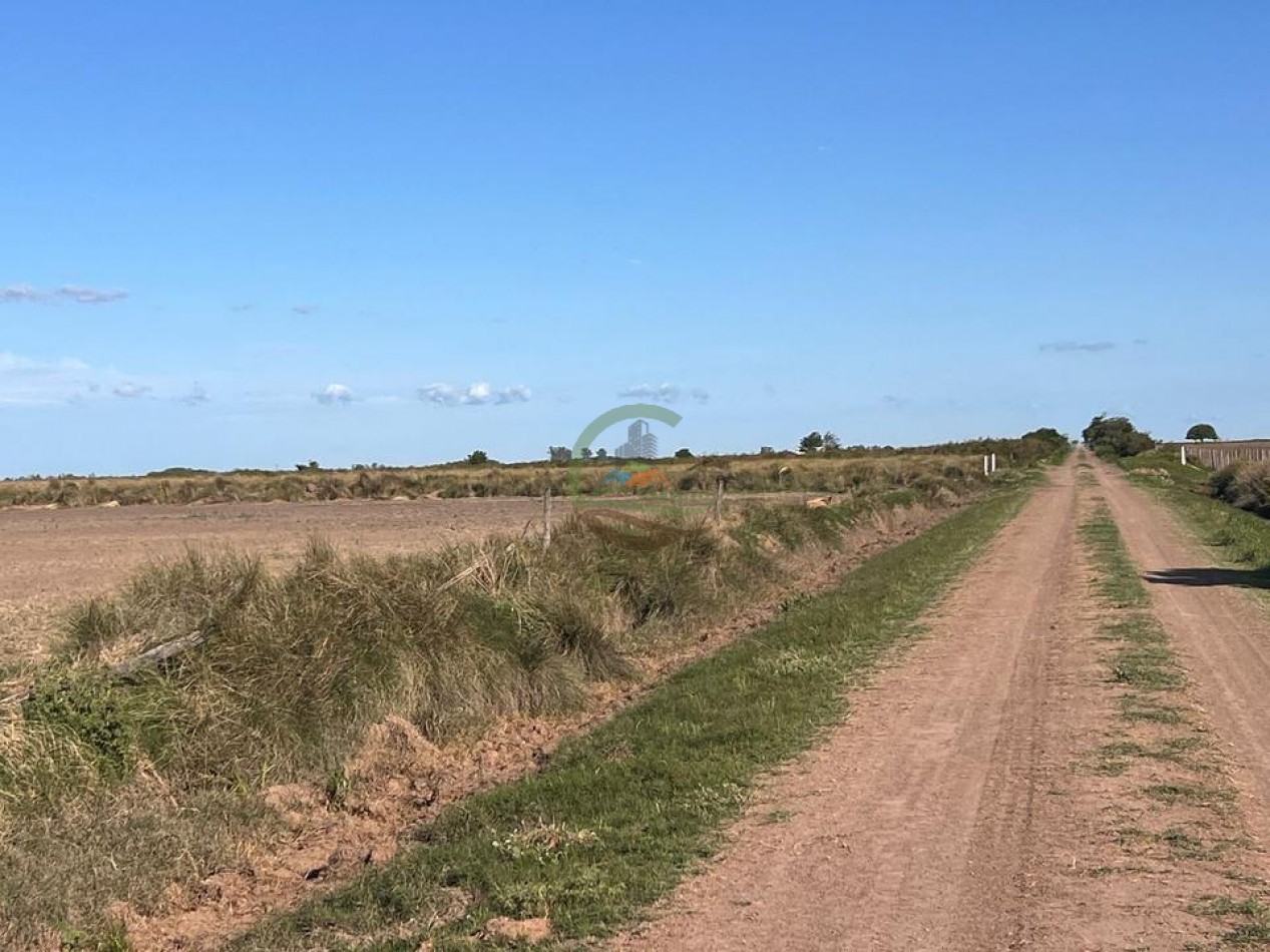 223 Ha Agricolas - El Florentino - Cordoba  