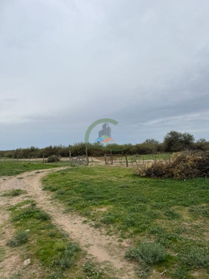 5117 Ha Ganadero - La Adela - La Pampa