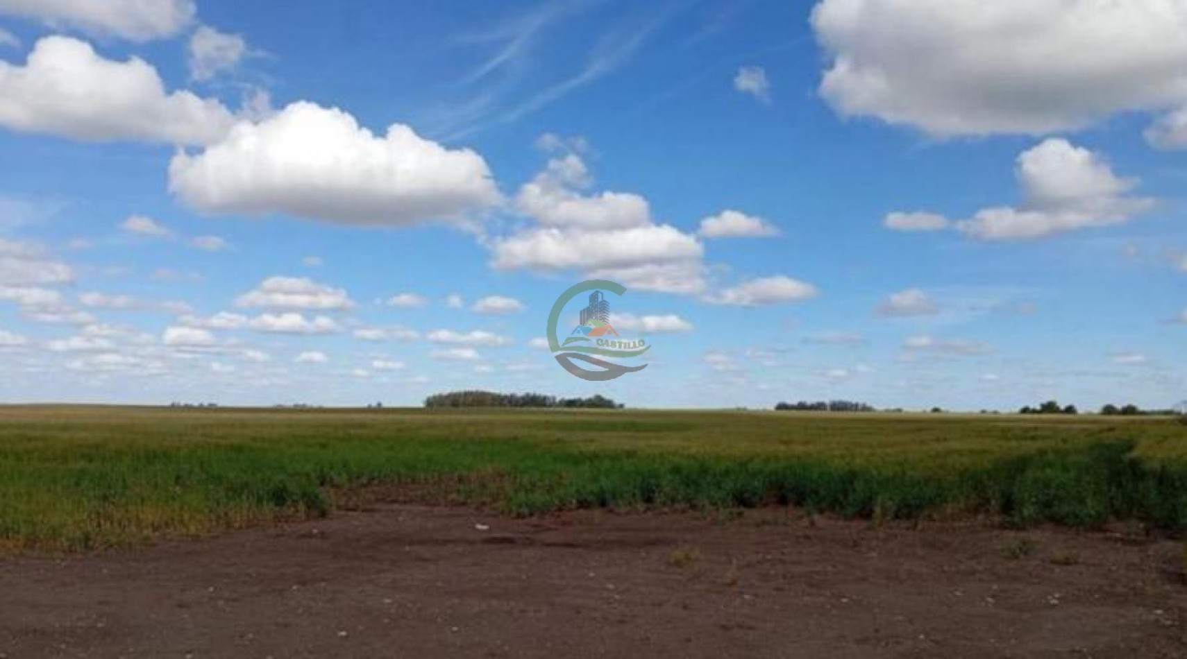 475 Ha Agricolas - Lumb - San Cayetano