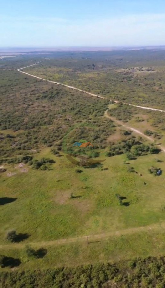 299 Ha Ganadero - Calamuchita - Cordoba