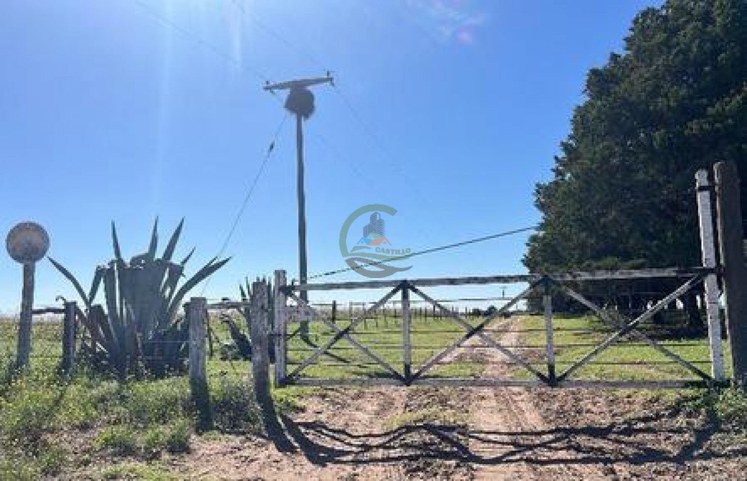 521 Ha Mixto - Toay - La Pampa