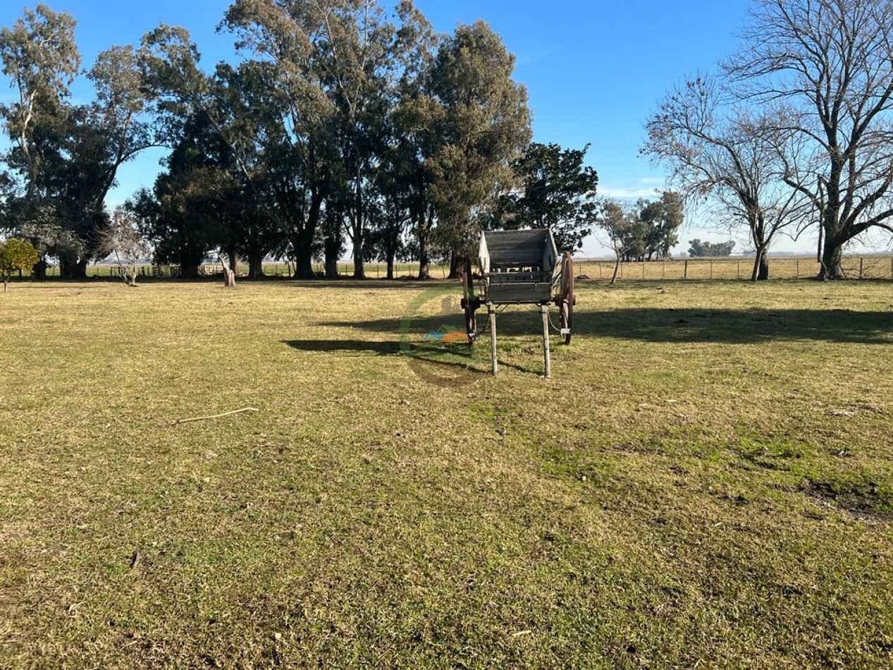 377 Ha Agricolas - San Miguel del Monte 