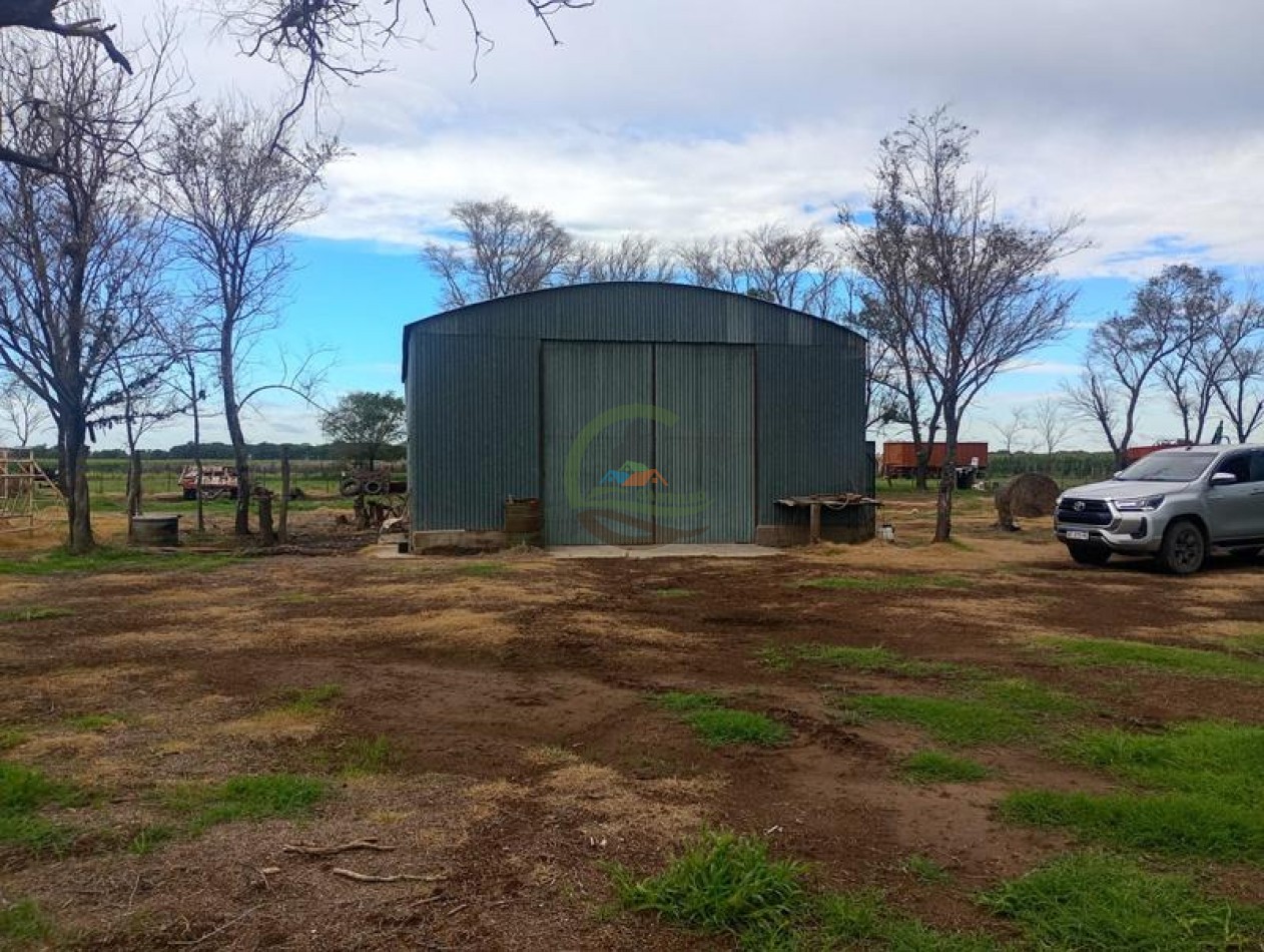 378 Ha Mixto - Realico - La Pampa