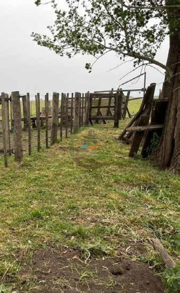 265 Ha Ganadero - Harosteguy - Las Flores