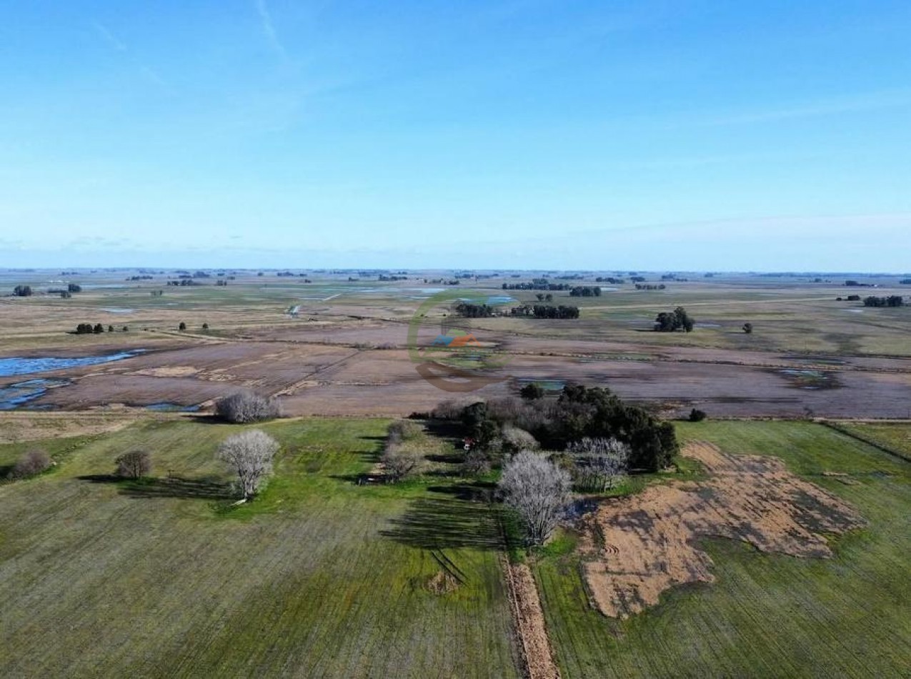 39 Ha Agricolas - Saladillo