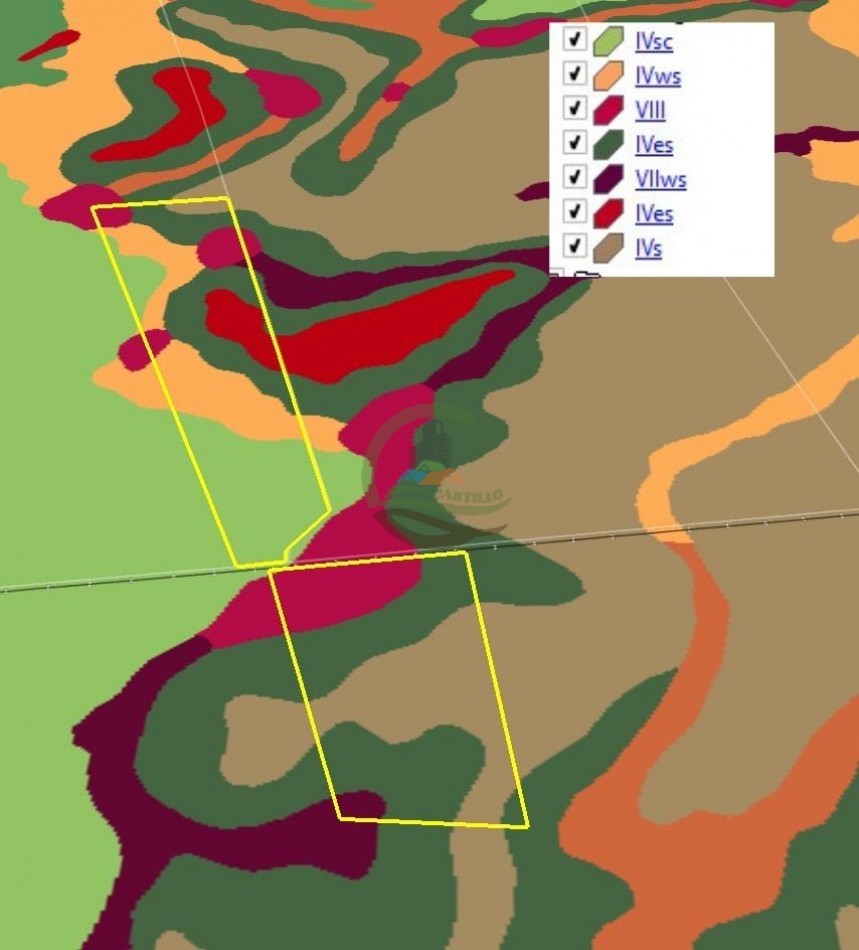 530 Ha Mixto - Coronel Suarez