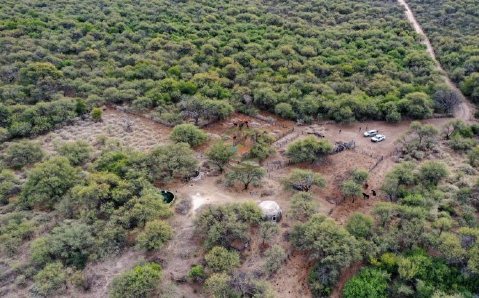 1856 Ha Ganadero - Villa Dolores - Cordoba