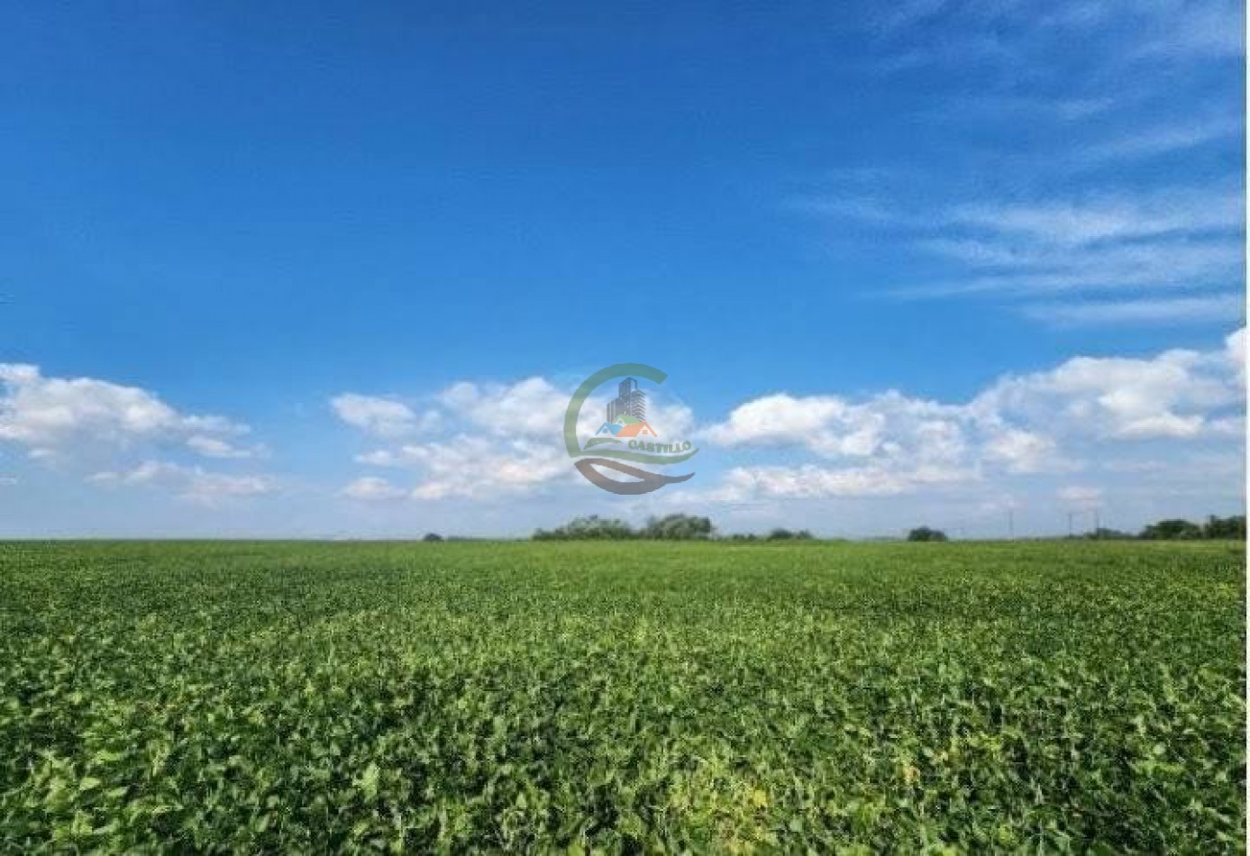 338 Ha Agricolas - Loberia - Alquiler