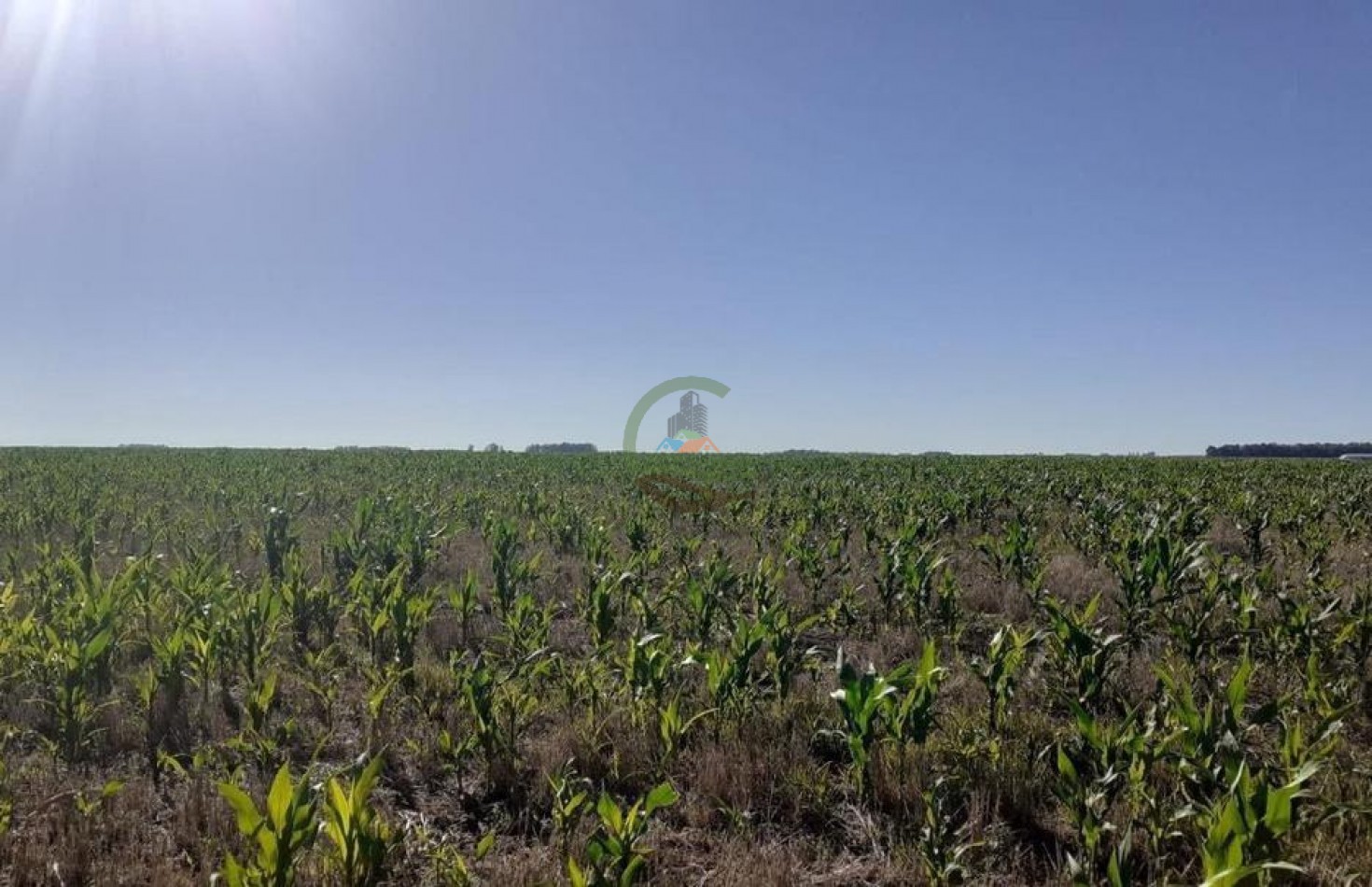 338 Ha Mixto - San Cayetano 