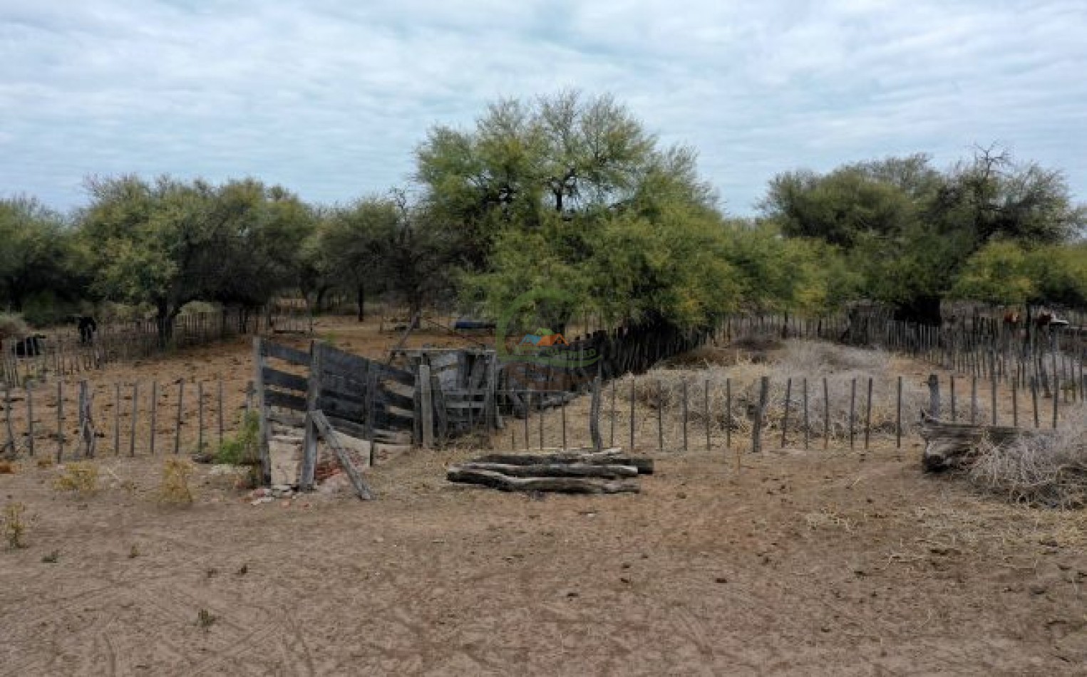 1856 Ha Ganadero - Villa Dolores - Cordoba