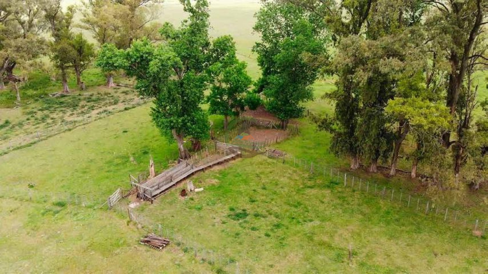 265 Ha Ganadero - Harosteguy - Las Flores