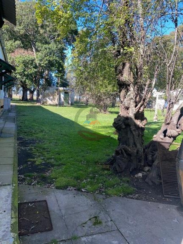 907 Ha Ganadero - Espigas - Olavarria