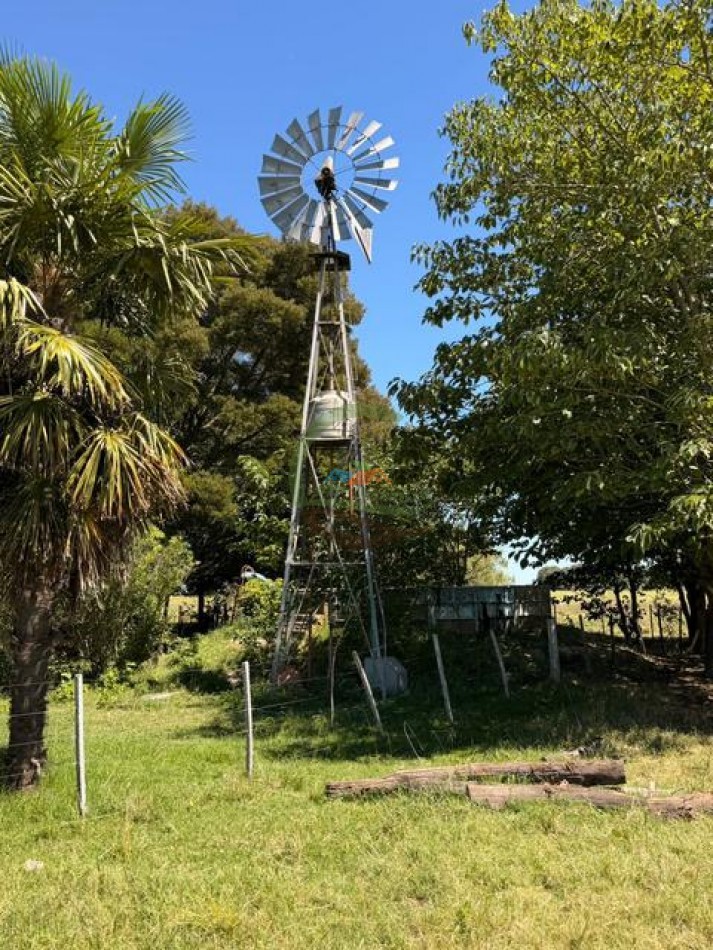 469 Ha Mixto - Chascomus