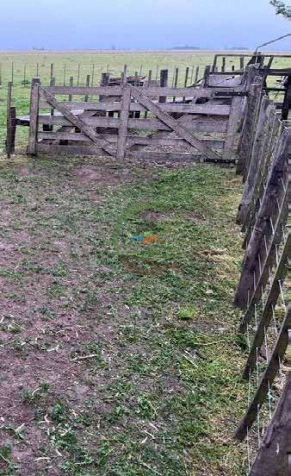 265 Ha Ganadero - Harosteguy - Las Flores