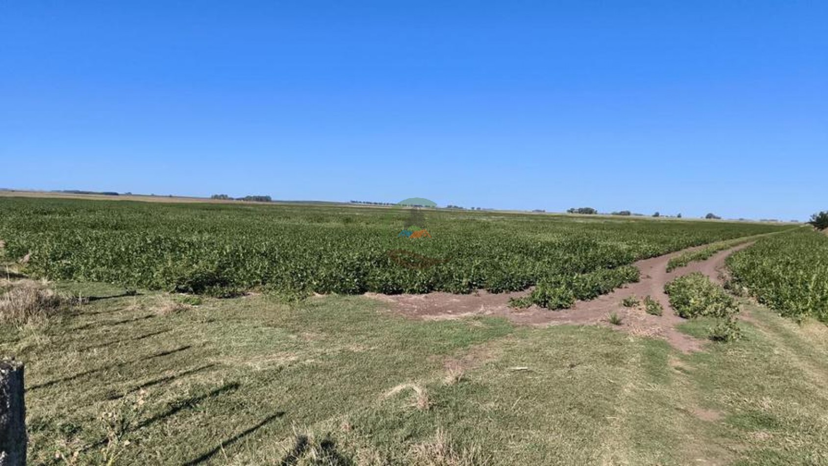 248 Ha Agricolas - Tedin Uriburu - Benito Juarez