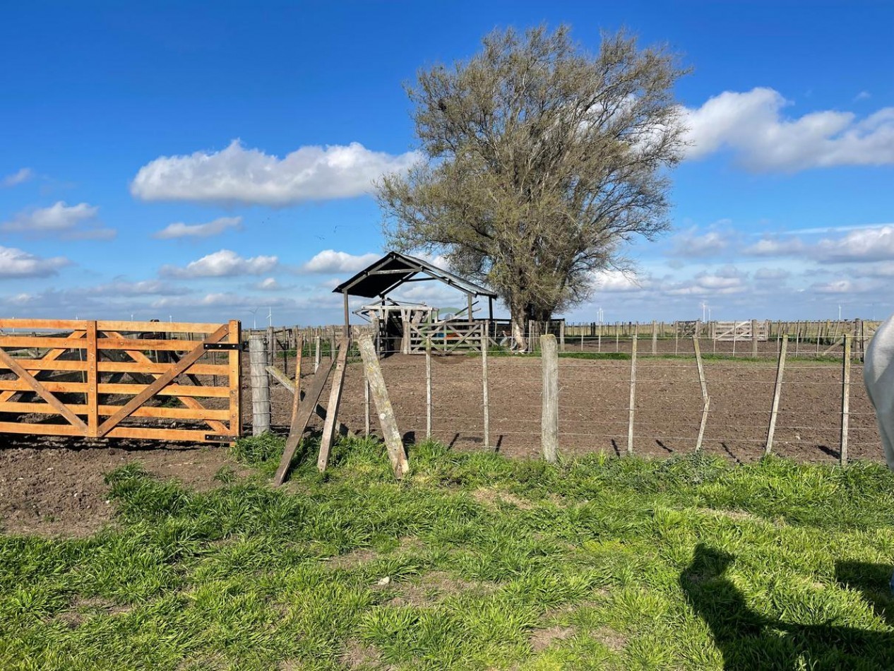 1361 ha Mixta - Olavarria 