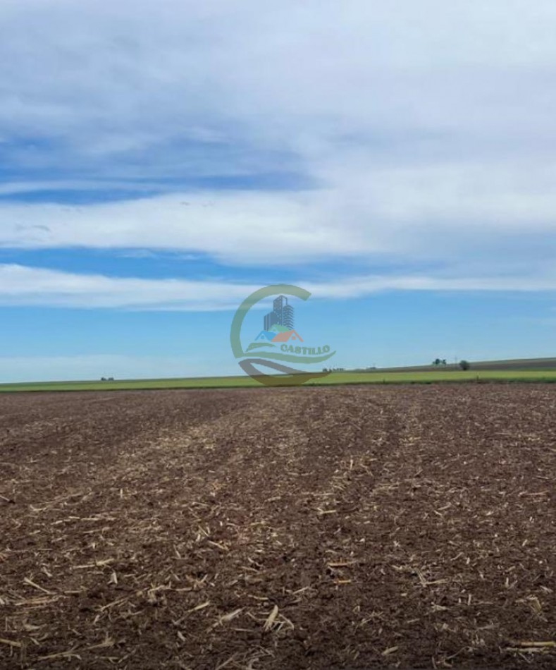 520 Ha Agricolas - Obispo Trejo - Cordoba