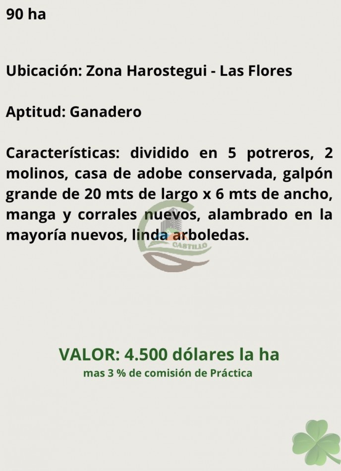 90 ha ganaderas - las flores
