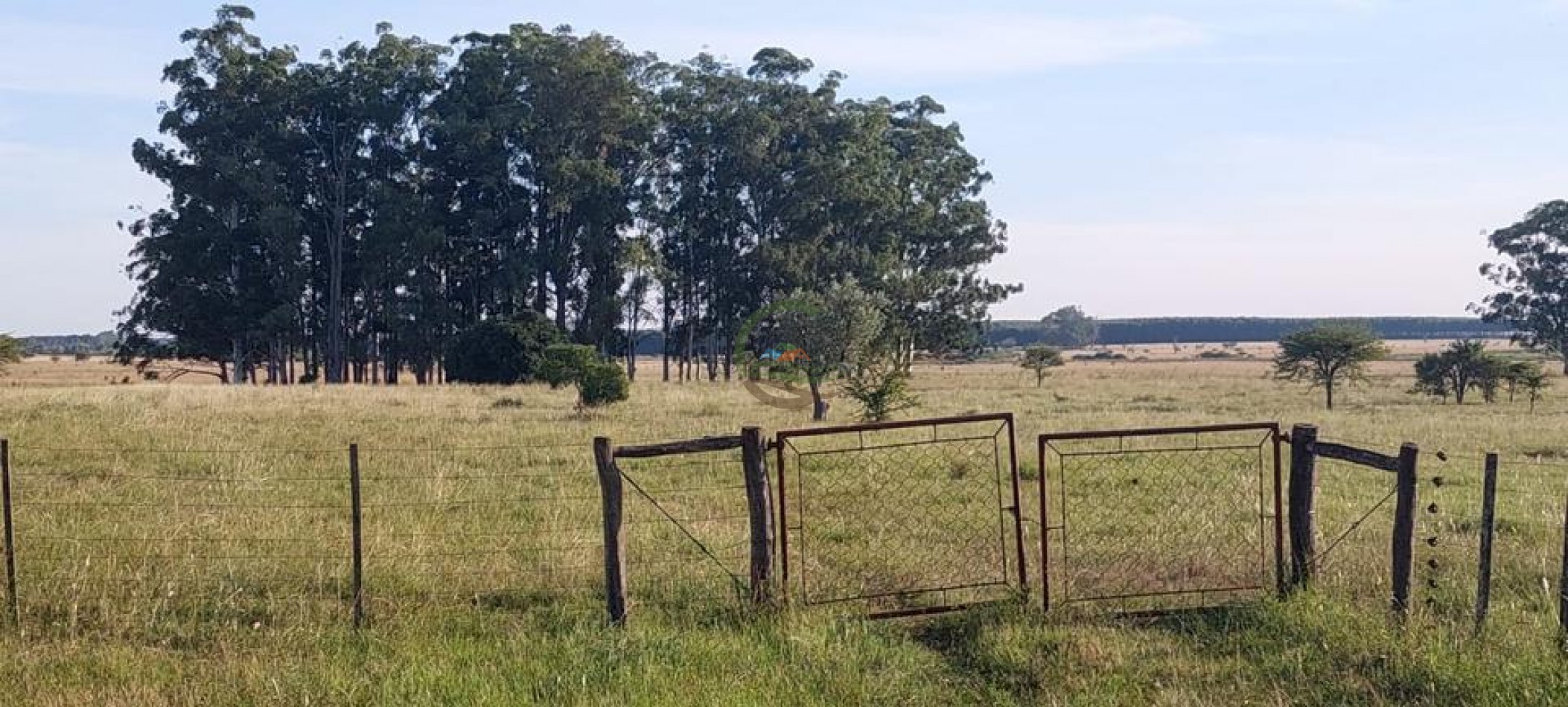 218 Ha Ganadero - Chajari - Entre Rios