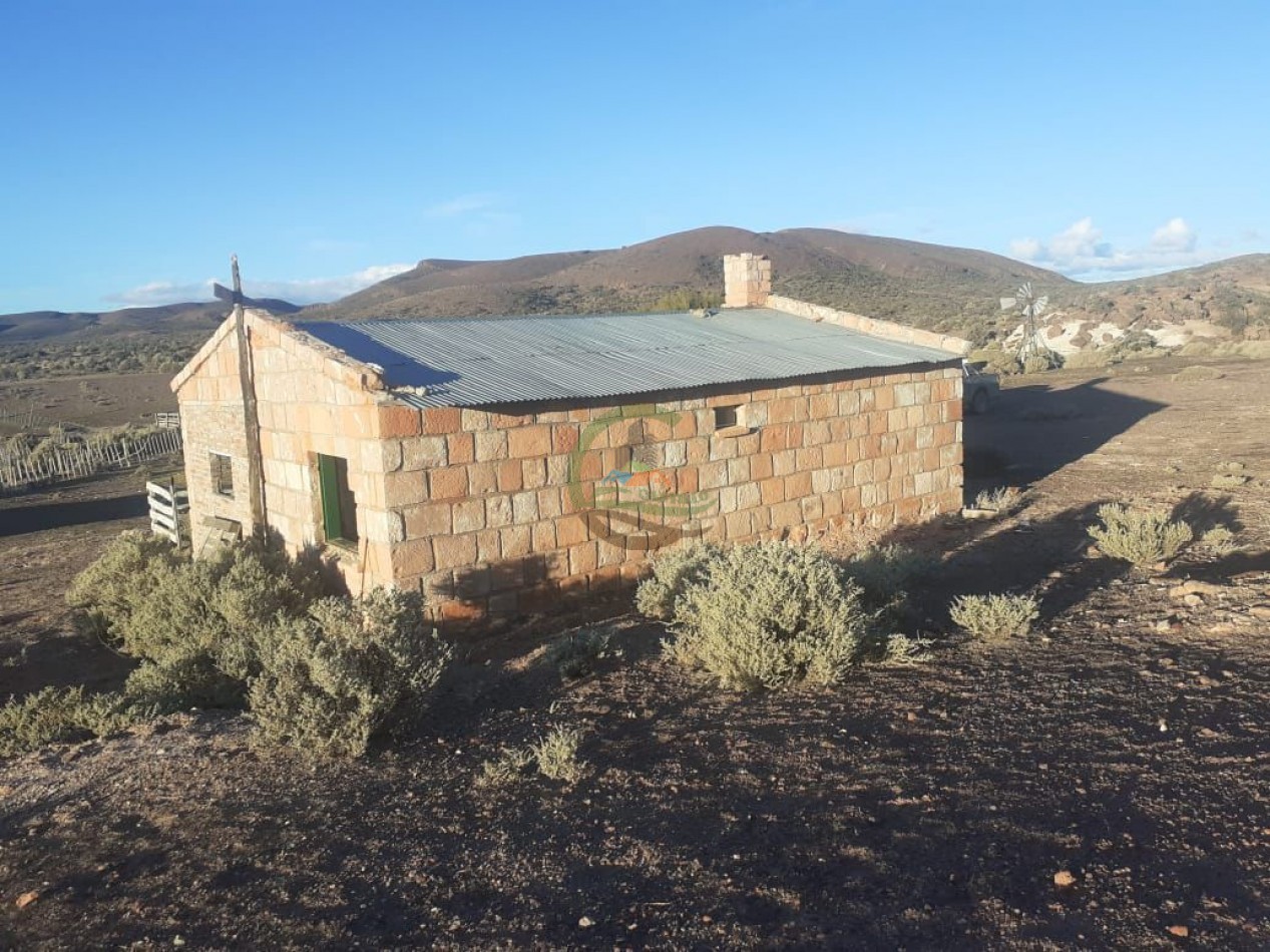 59000 ha Ganadero - Chubut