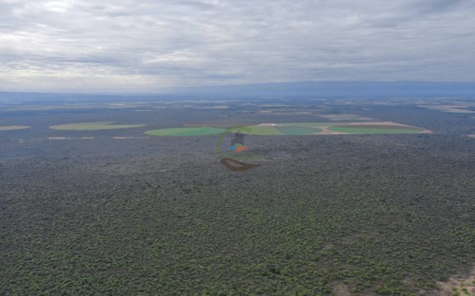 1856 Ha Ganadero - Villa Dolores - Cordoba