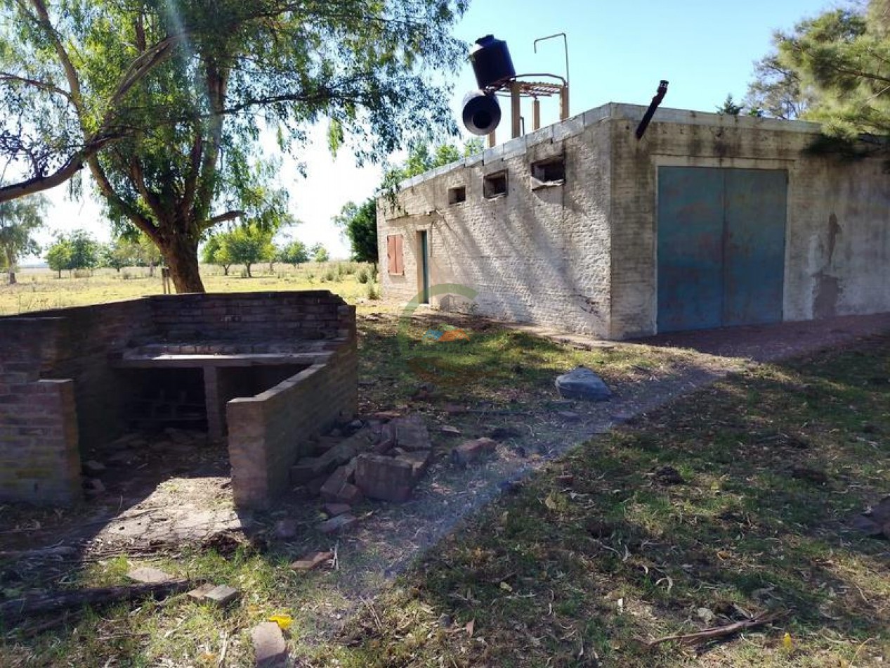 155 ha mixto - Villa Angelica - Pergamino