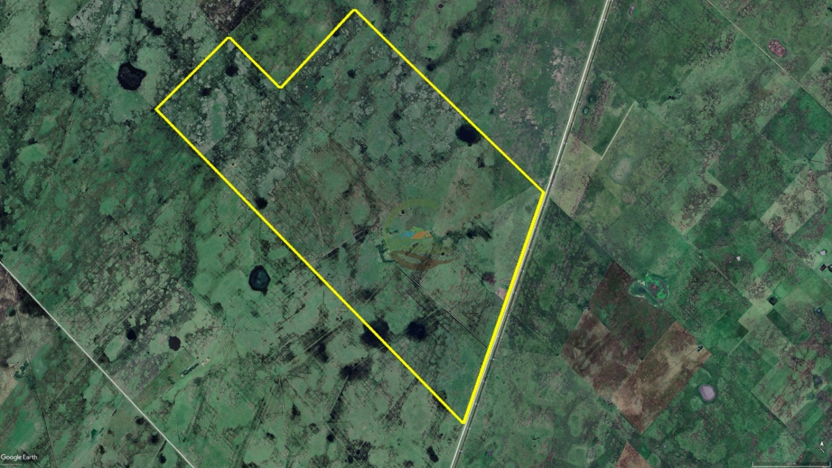 886 ha Ganadero - Crotto - tapalque