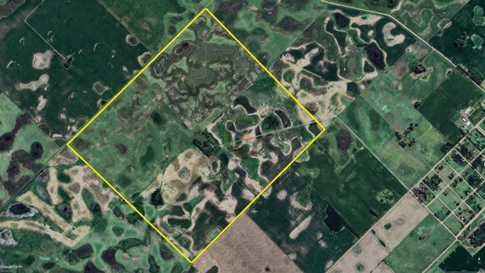 186 HA Mixtas - Hortensia - Carlos Casares